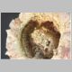 Birth of the Melt detail.jpg
